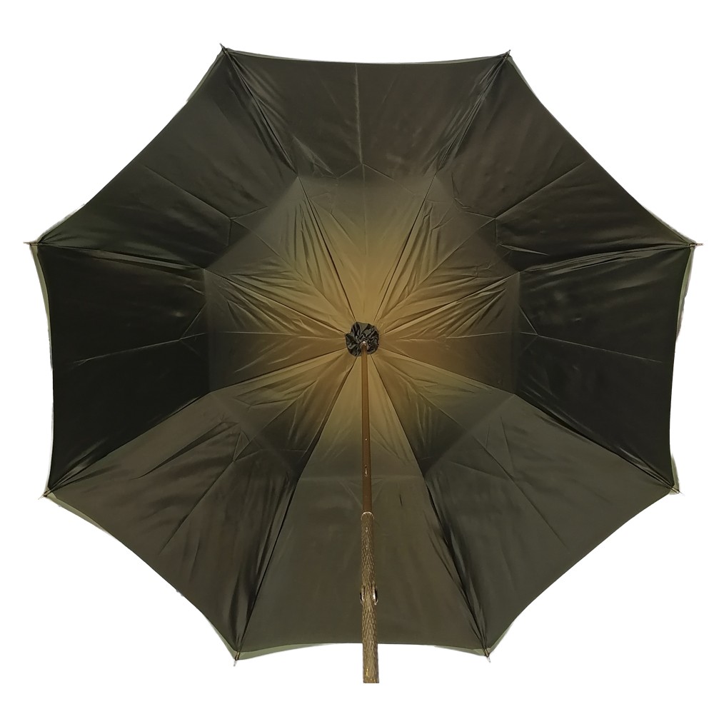 Umbrella