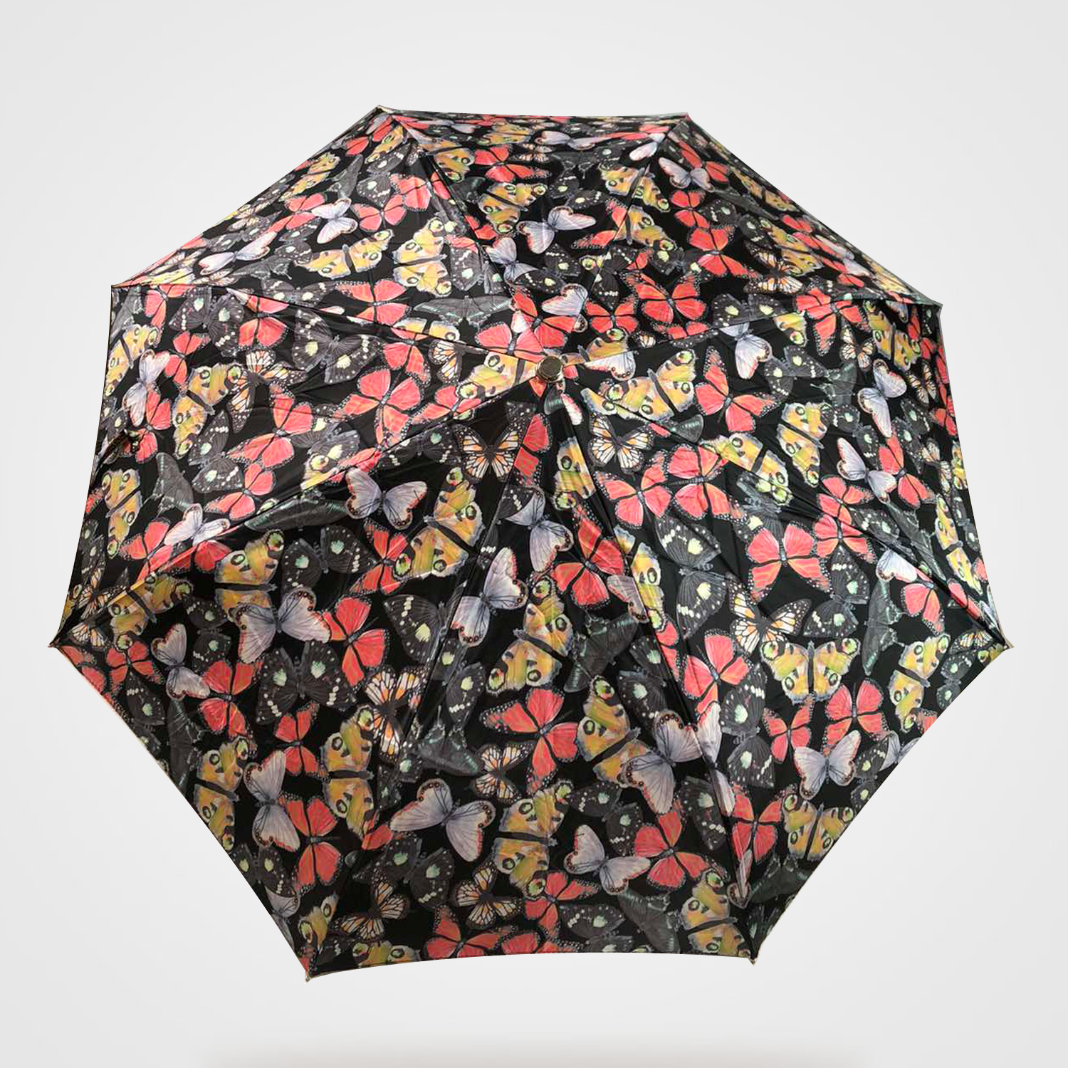 Umbrella