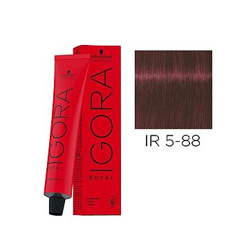 IR.5-88 60ml LIGHT BROWN RED EXTRA